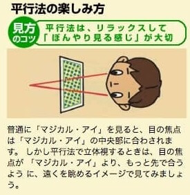 視 やり方 立体