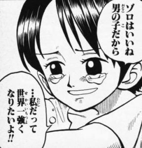 ワンピース くいなが死んでいないと思う理由 ホルホルで男性化 人生再建計画